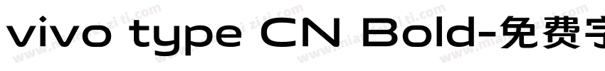 vivo type CN Bold字体转换